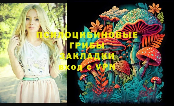 apvp Алексеевка