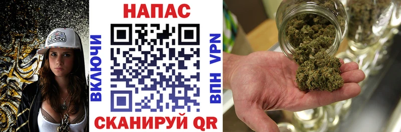 купить наркотики цена  Гаджиево  Бошки Шишки план 